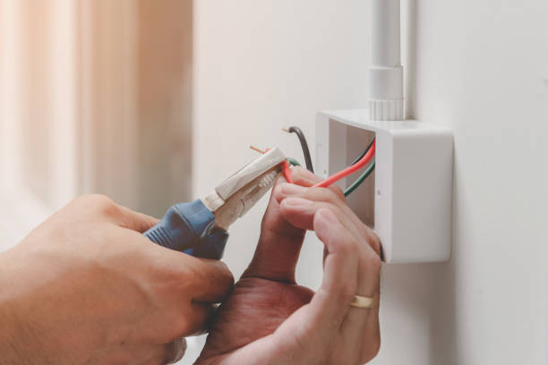 Best Commercial Electrical Services  in The Homesteads, TX